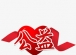 以温柔之姿，行公益之道