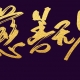 全球慈善光谱中的模式博弈：解码不同社会的资源调配智慧